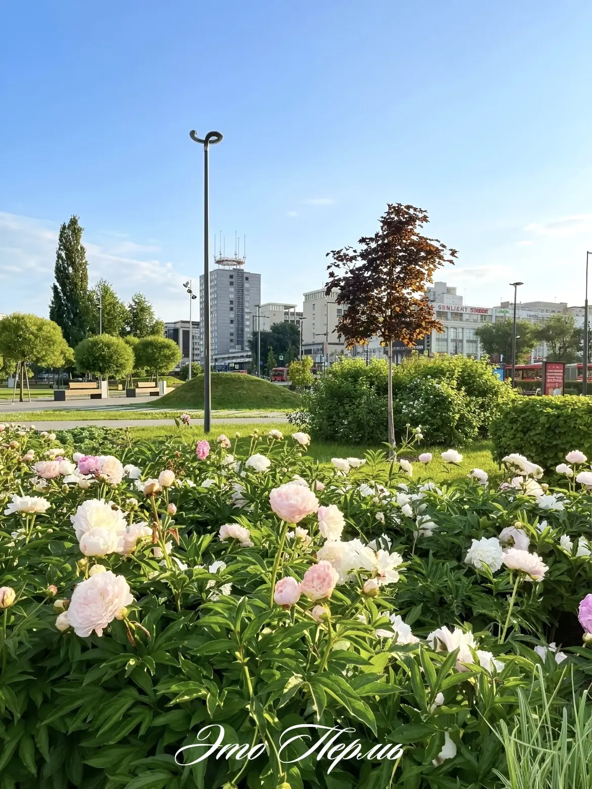 Время осуществлять мечты