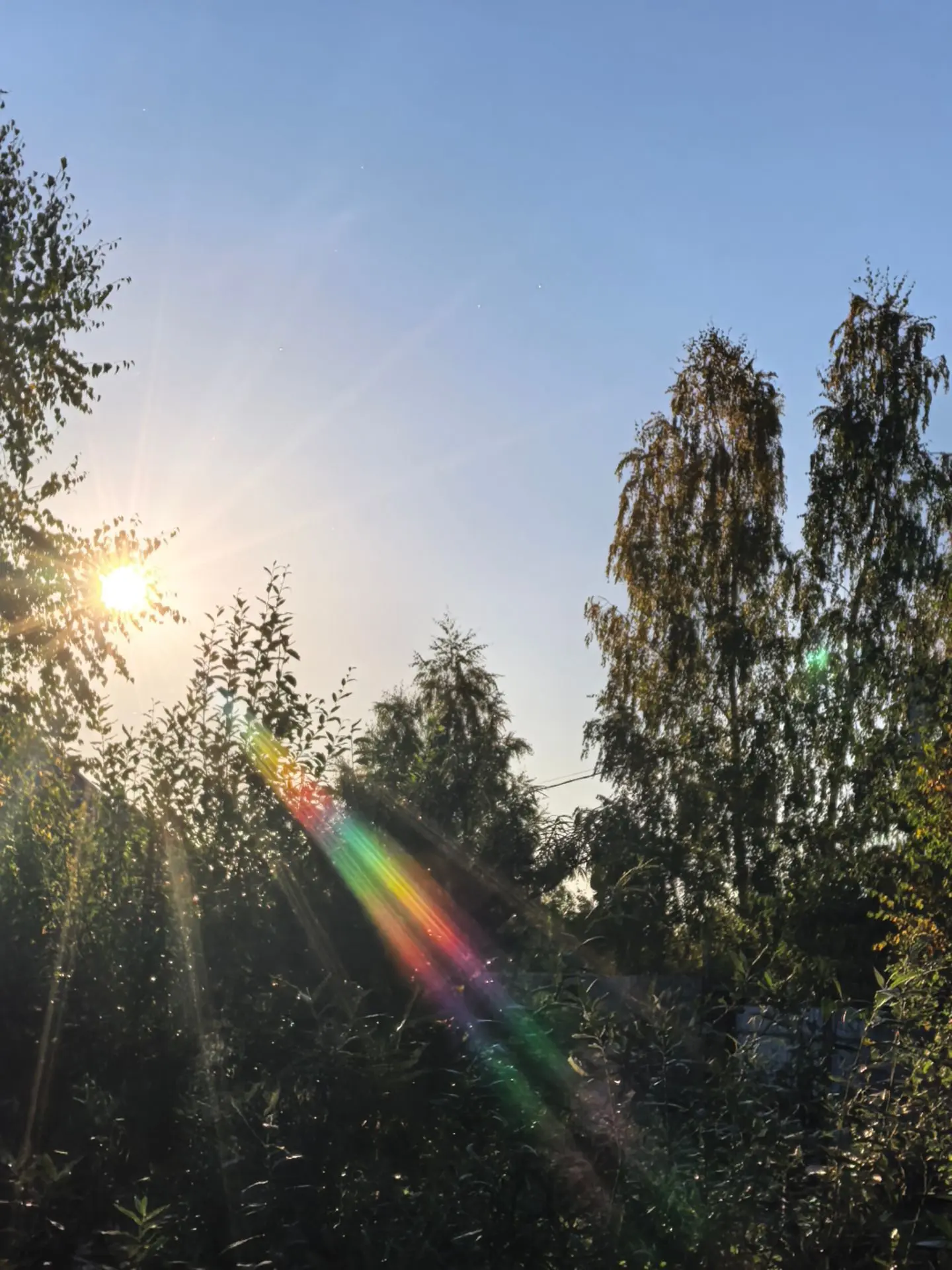 Сегодня денёк у нас тёплый выдался ☀️