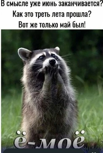 🛡 Полугодие закрыто!