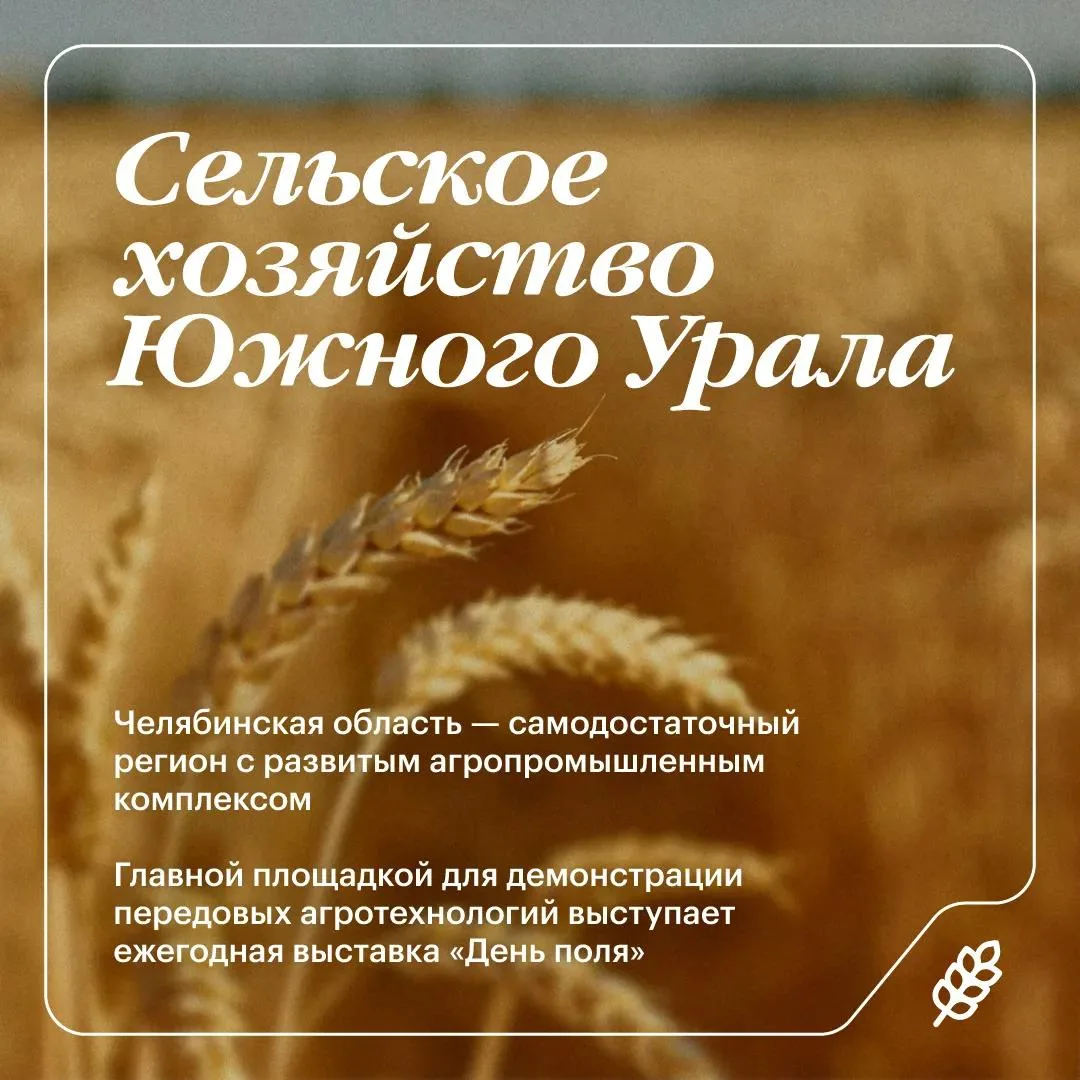 Агропромышленный комплекс Челябинской области демонстрирует стабильное развитие. Сегодня это самодос