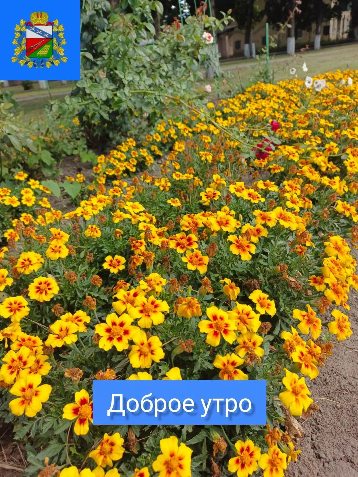 ☀️ДОБРОЕ УТРО