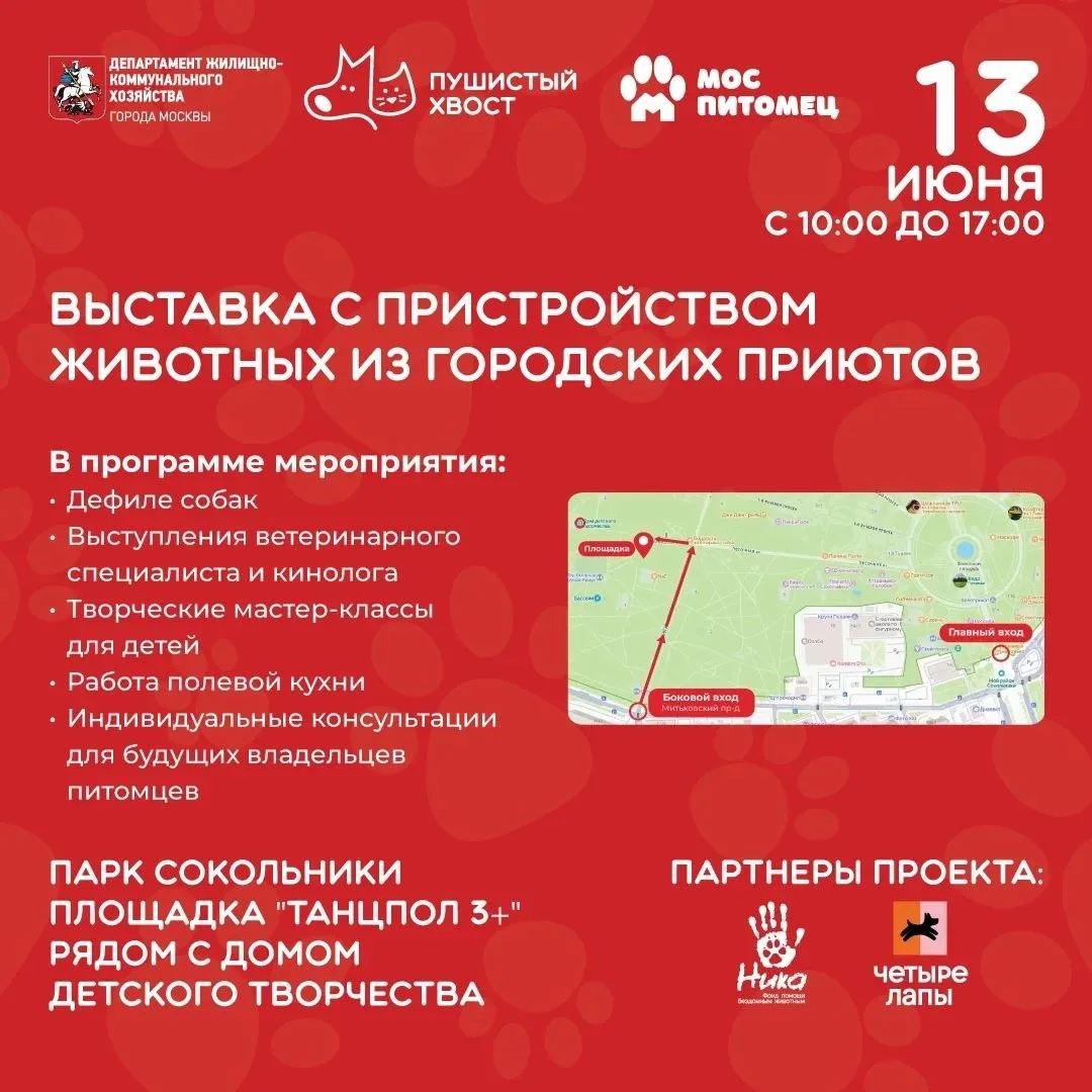 🐕 Выставка-пристройство животных «Пушистый хвост» пройдет в ВАО