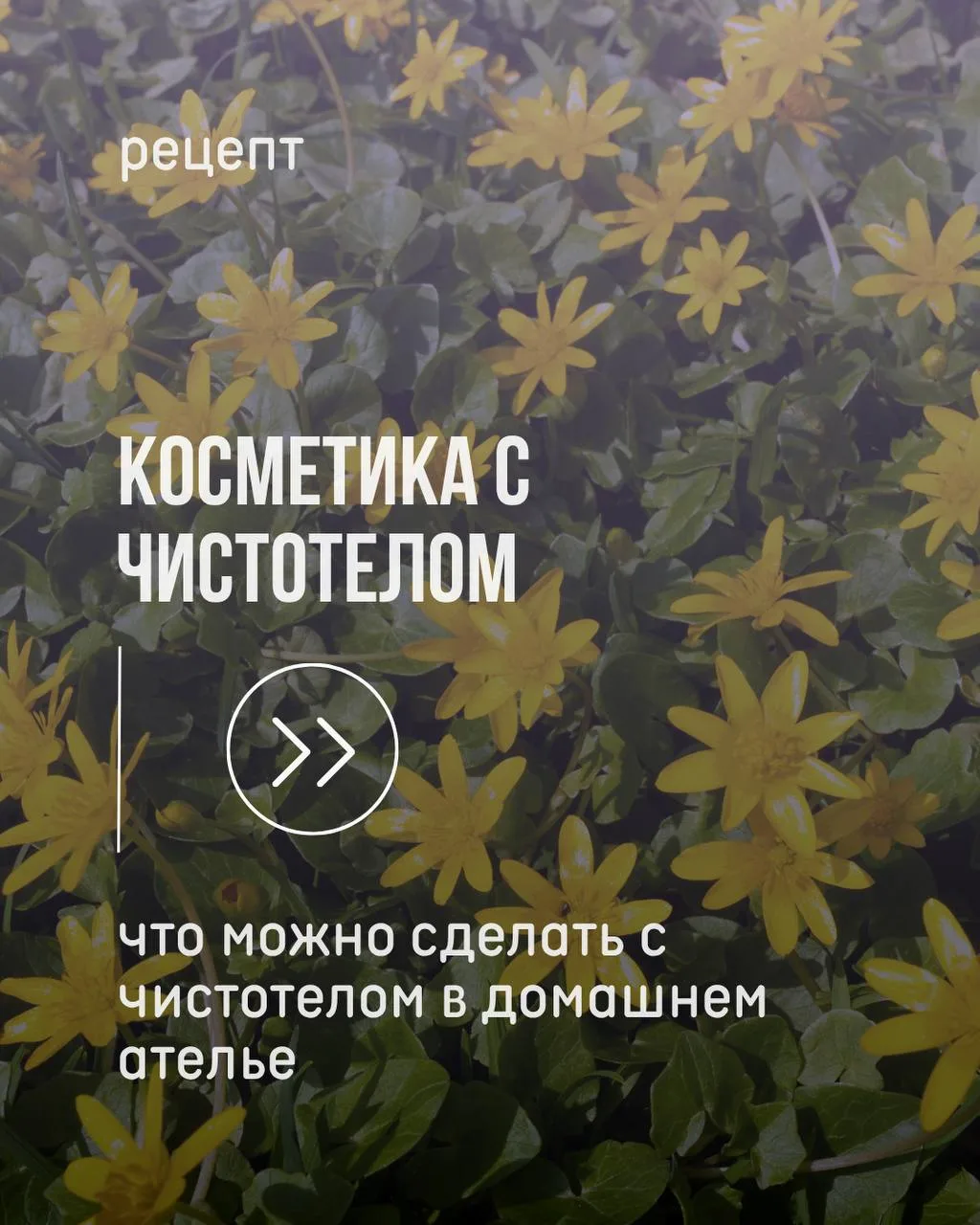 Косметика из чистотела 🌱