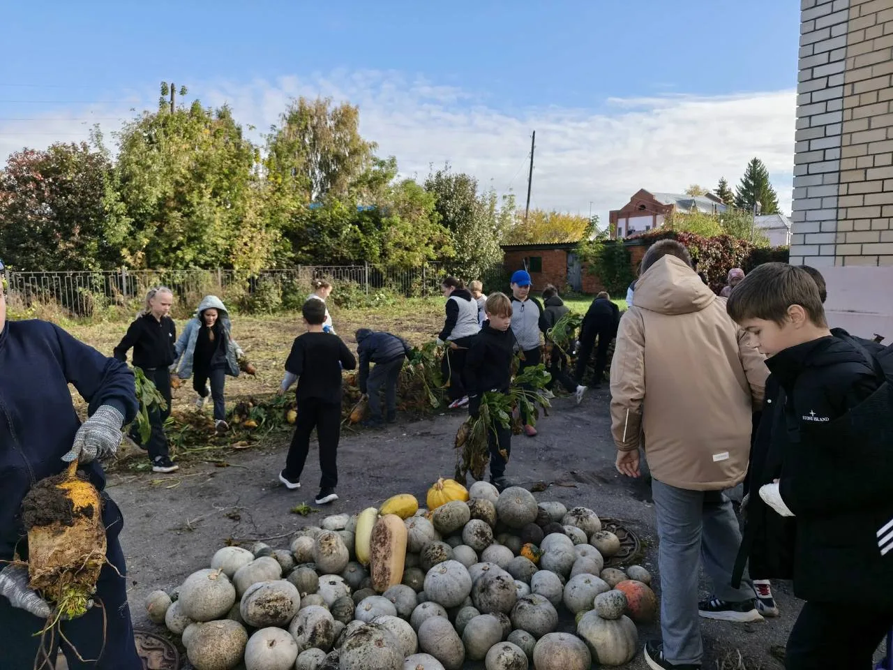 Школьники Ромодановского района присоединились к акции «Подкорми зубра»