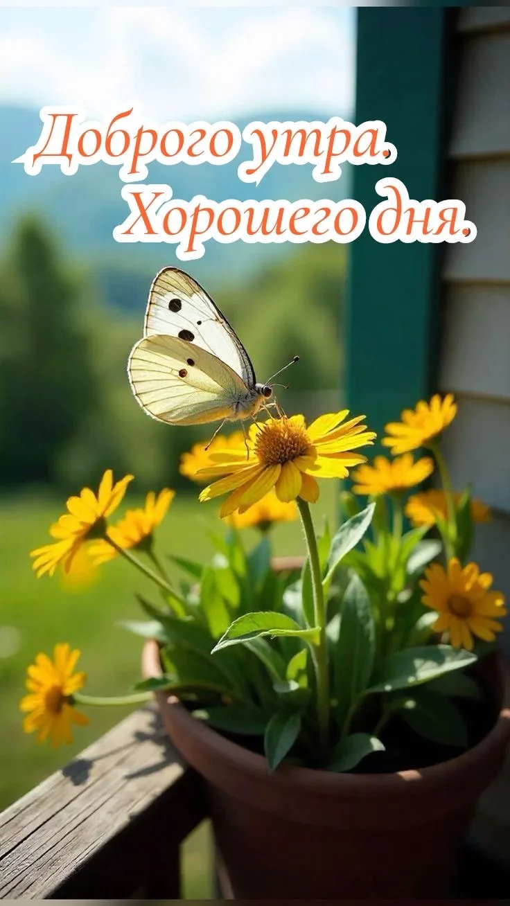 Подписывайся на нас!