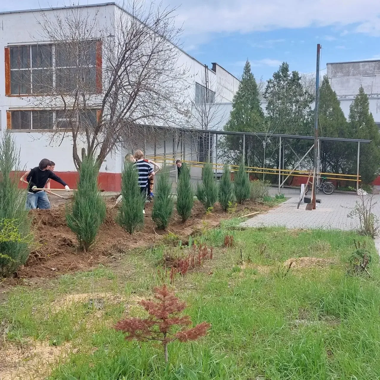🌳Зеленый школьный двор: обновление нашего общего пространства🌳  💫Наш школьный двор стал заметно зеле