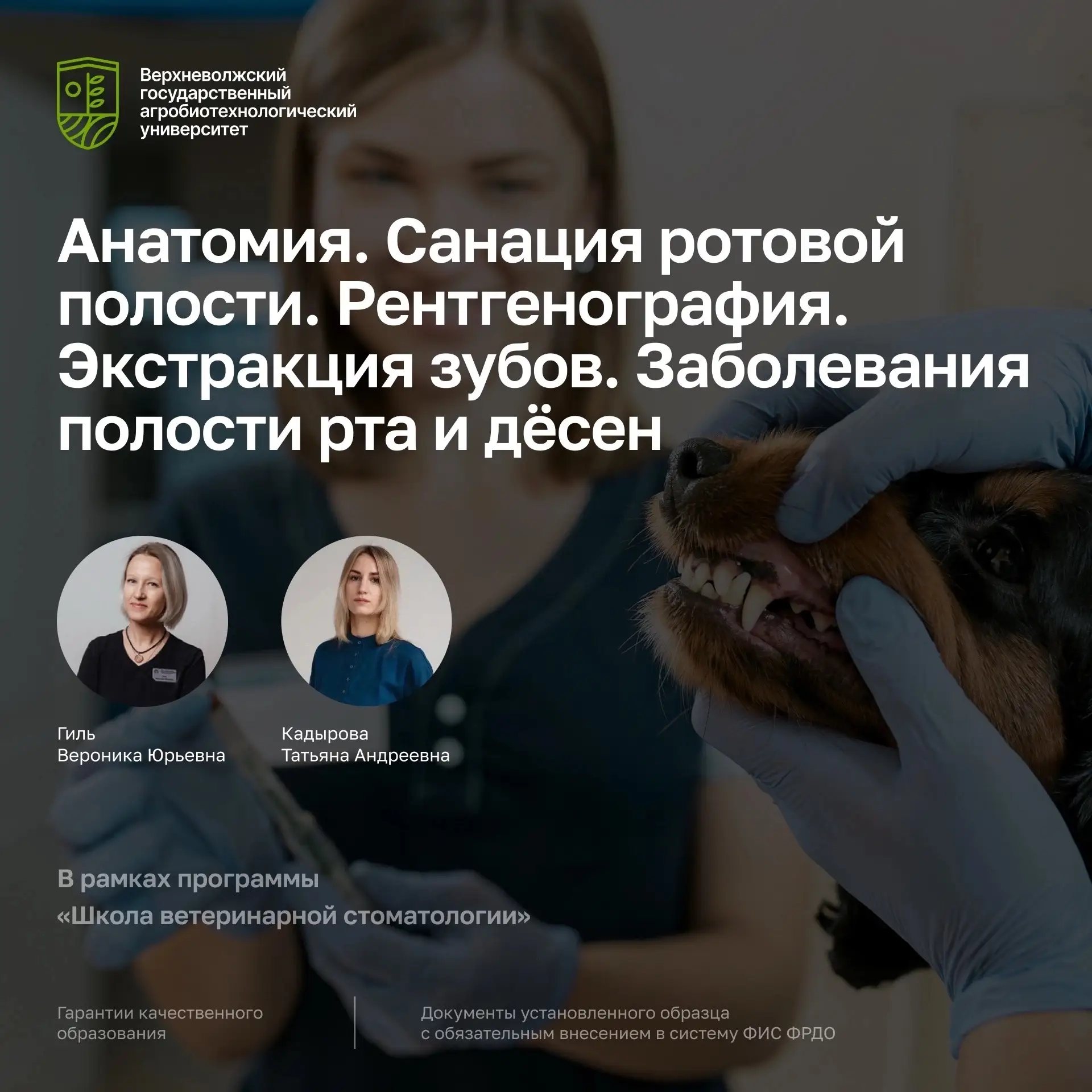 🦷 Ветеринарная стоматология: станьте экспертом!

🍂 В сентябре 2026 года стартует программа повышен