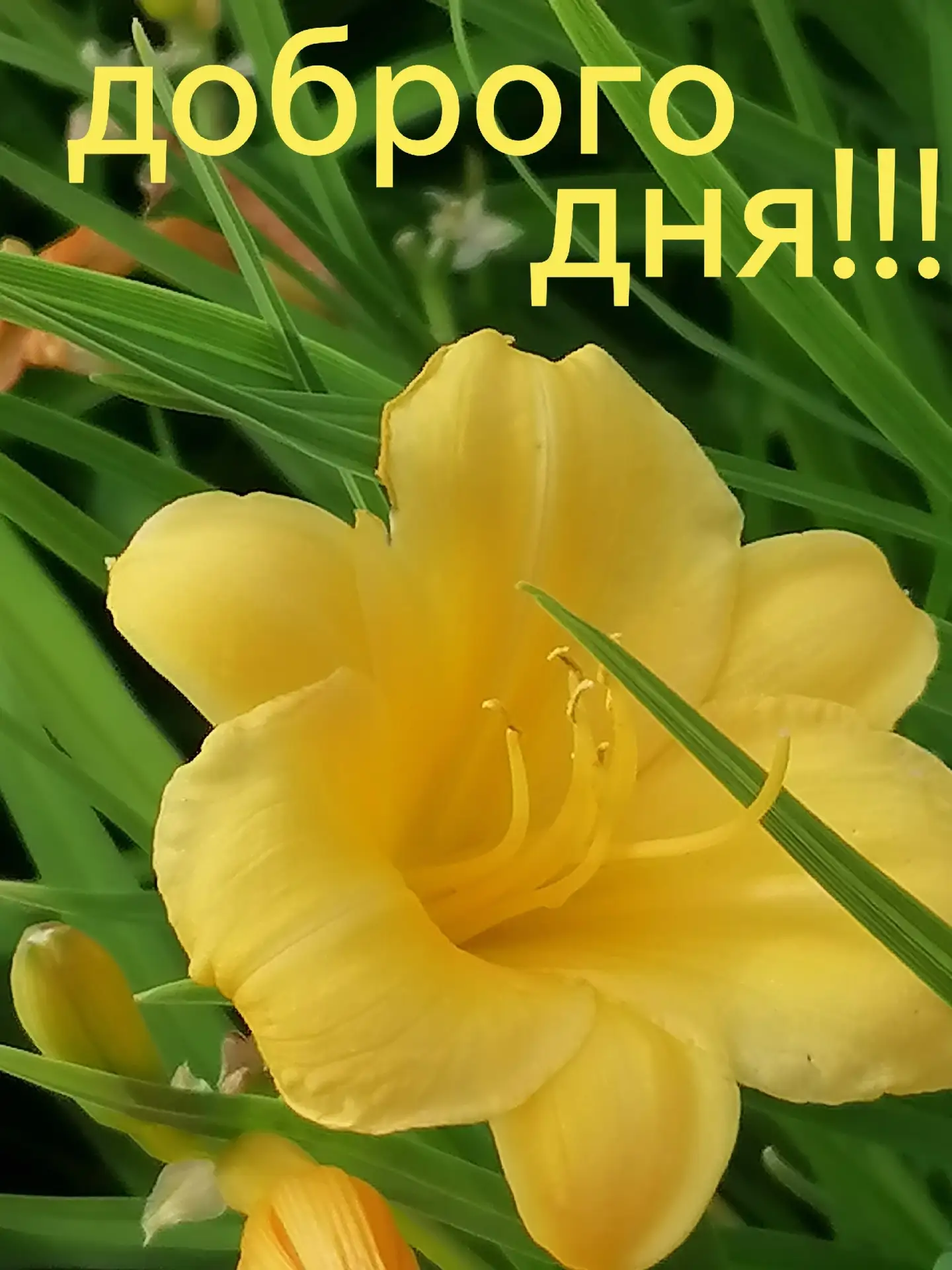 Начните этот день с улыбки и вдохновения! Настраиваемся на позитивную волну и двигаемся...