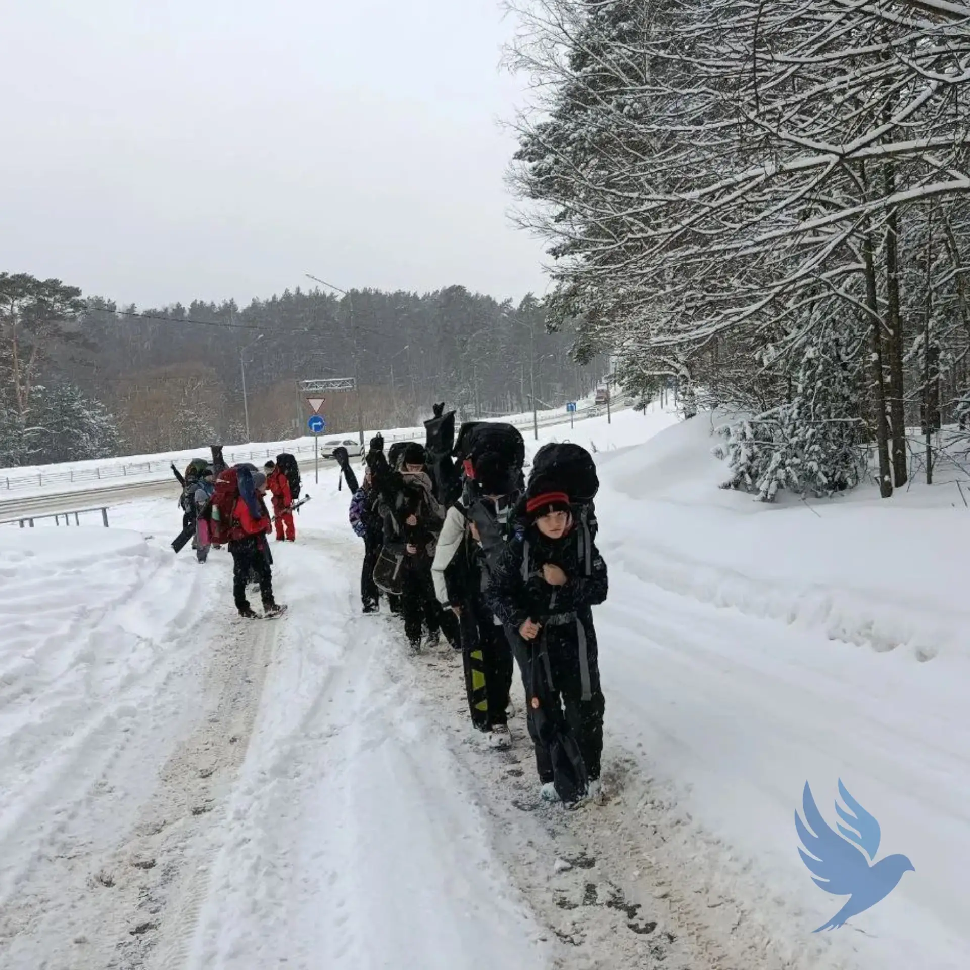 ⛷️ Спортивные сборы наших туристов  Каникулярная неделя для участников школьного турклуба прошла акт