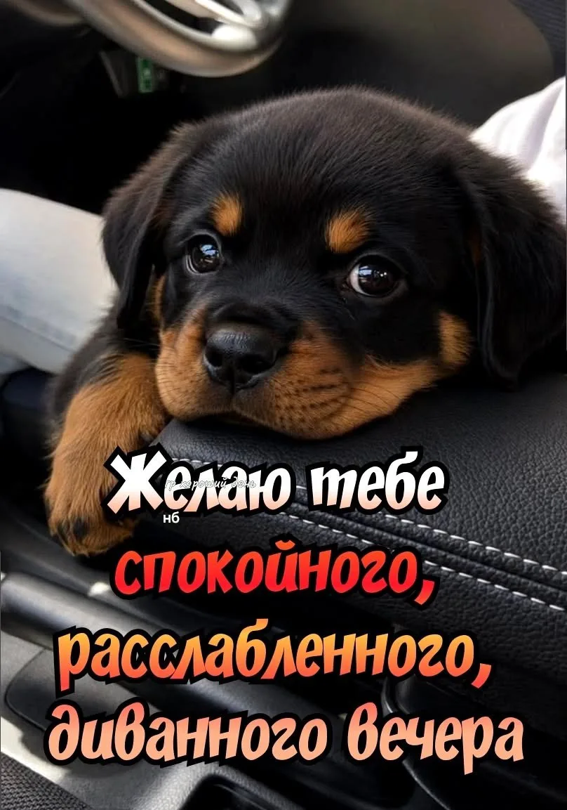 Открытки любимым 🌸🥰