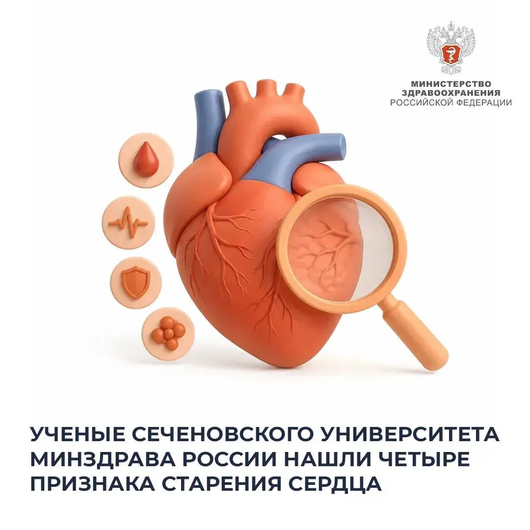 Сегодня среда, а значит... #НаучнаяСреда

❤️‍🩹 Ученые Сеченовского Университета Минздрава России на