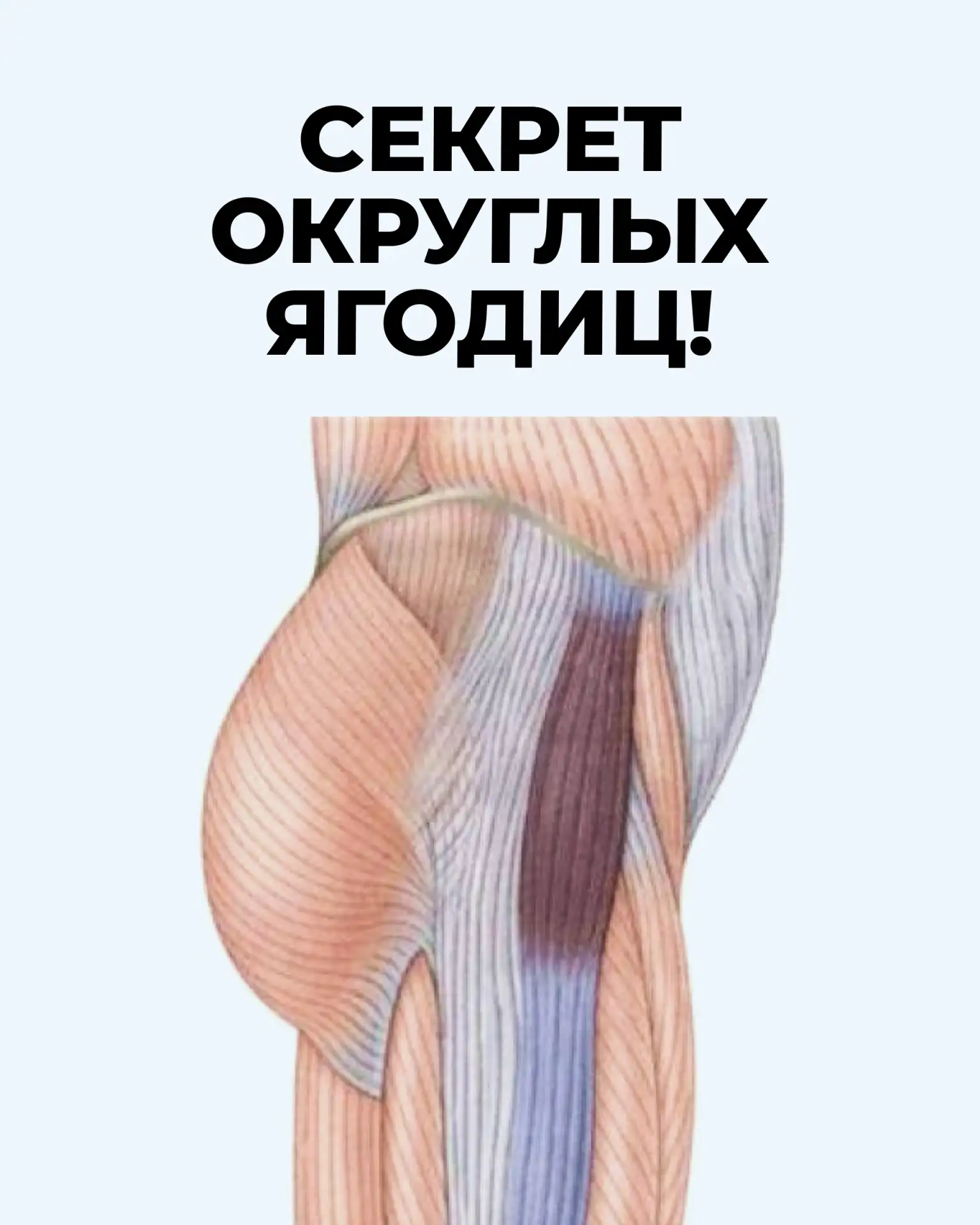 🍑 Мечтаете о выразительных ягодицах, но приседания не дают нужного эффекта?