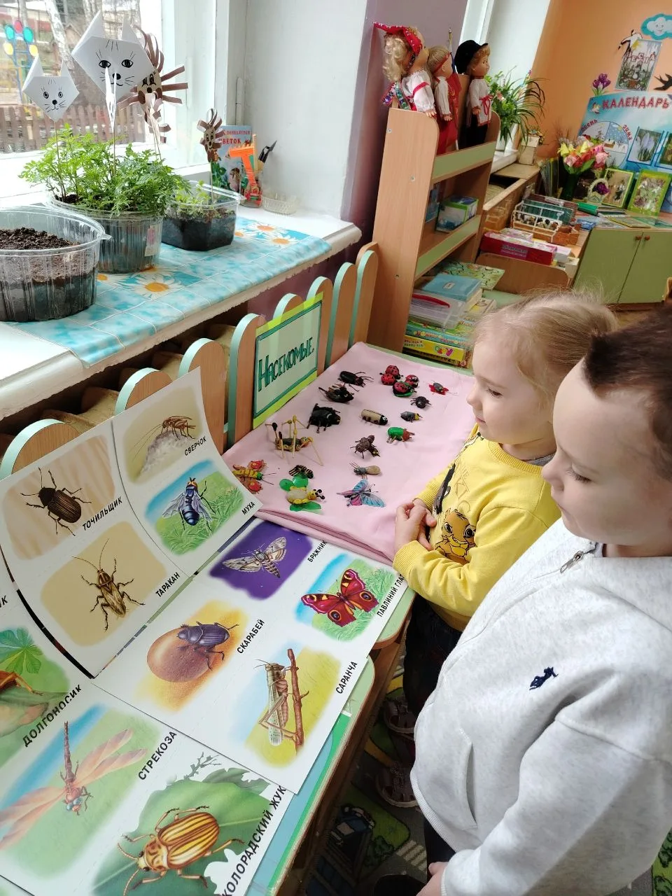 🐞🐜🪲🐛В работе с ребятами средней группе была поставлена задача - расширять представление о разноо