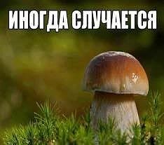 🍆 Главным доказательством стал размер члена: чем закончилоcь дело об гей*-изнасиловании