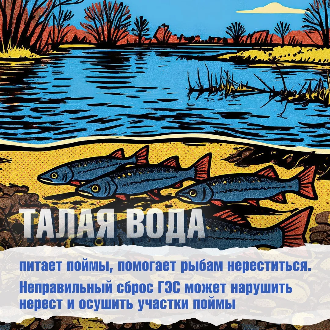 Весной реки «просыпаются» дважды. Первый раз, когда тает снег, и вода сама стремится к ...