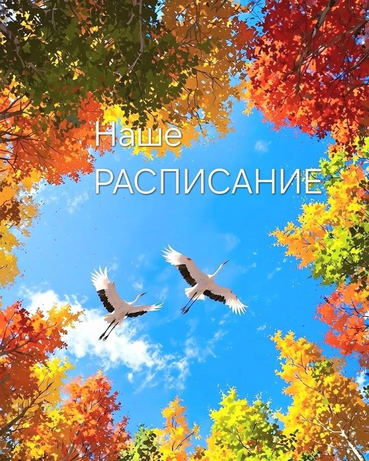 🍀 РАСПИСАНИЕ ЗАНЯТИЙ