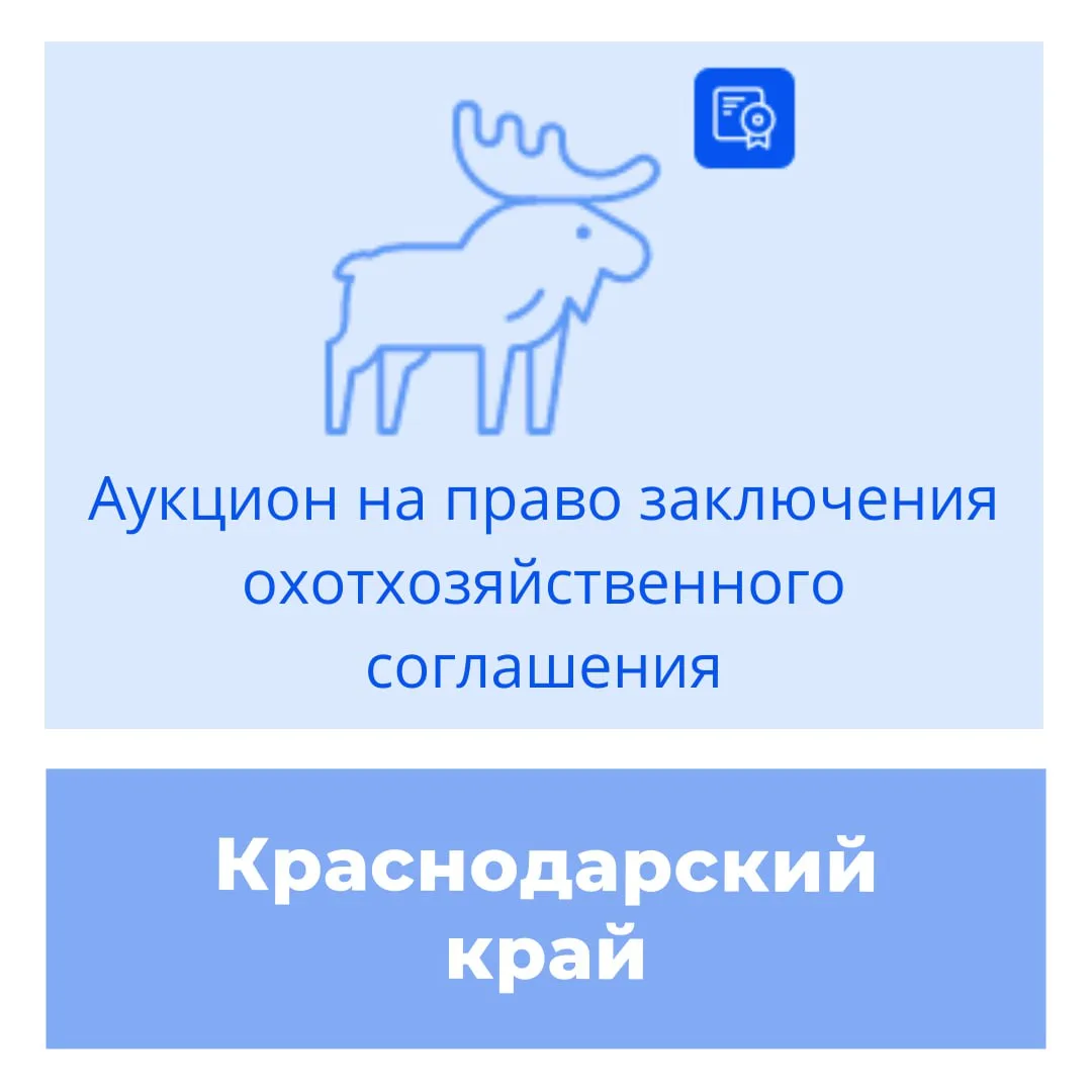 В Краснодарском крае выставлено на торги 34 участка общедоступных охотничьих угодий.