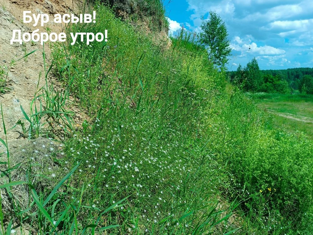 Доброе утро, друзья! ☀️

17 июня встречает нас тёплым солнцем и лёгким ветерком. Пусть этот день буд