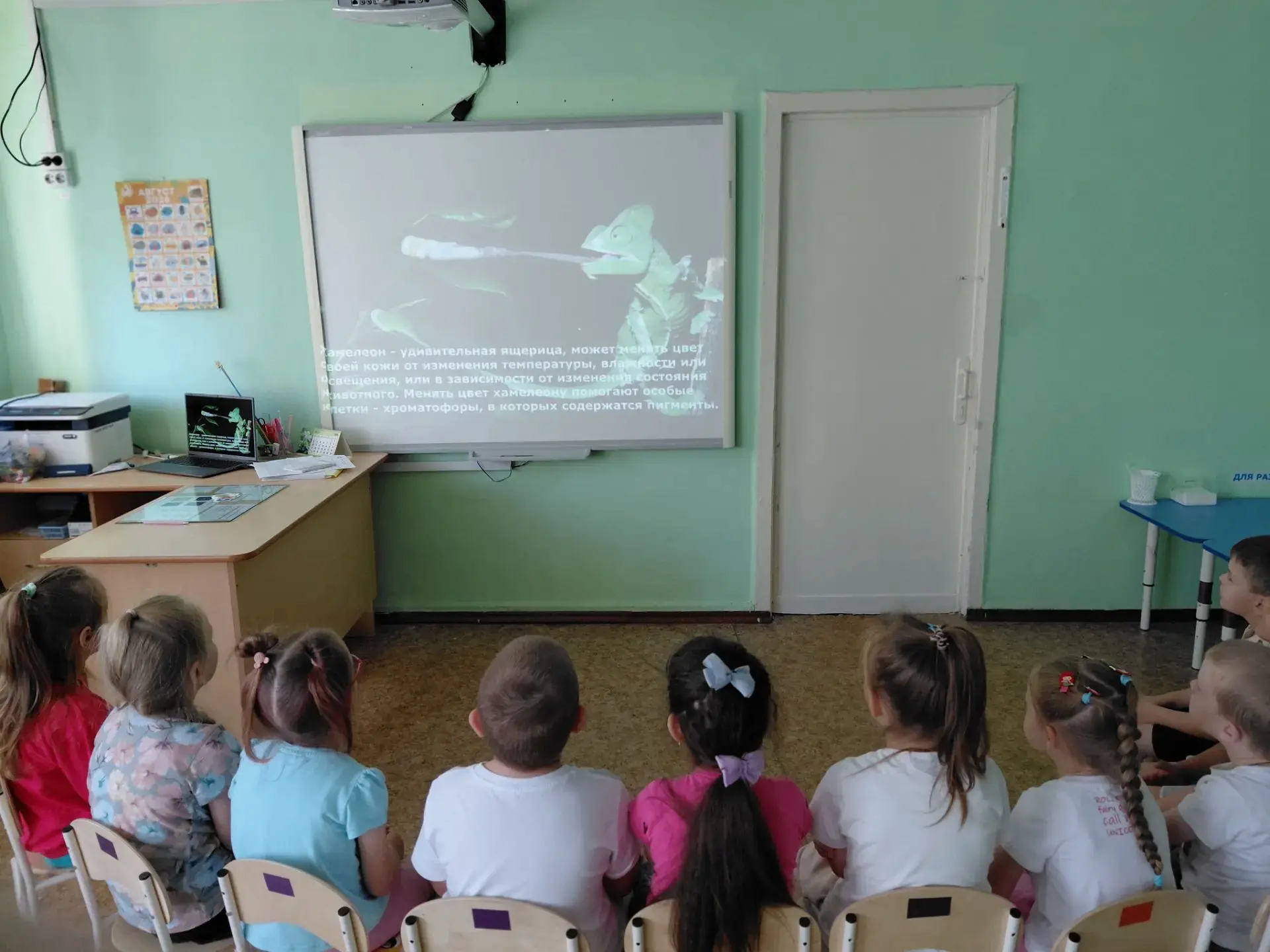 День ящериц: от теории к практике!