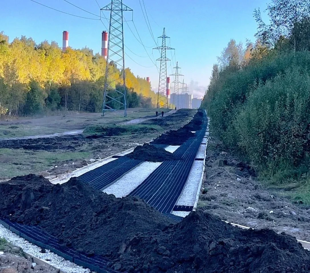 🏗️ В «Лосином острове» прокладывают лыжную трассу