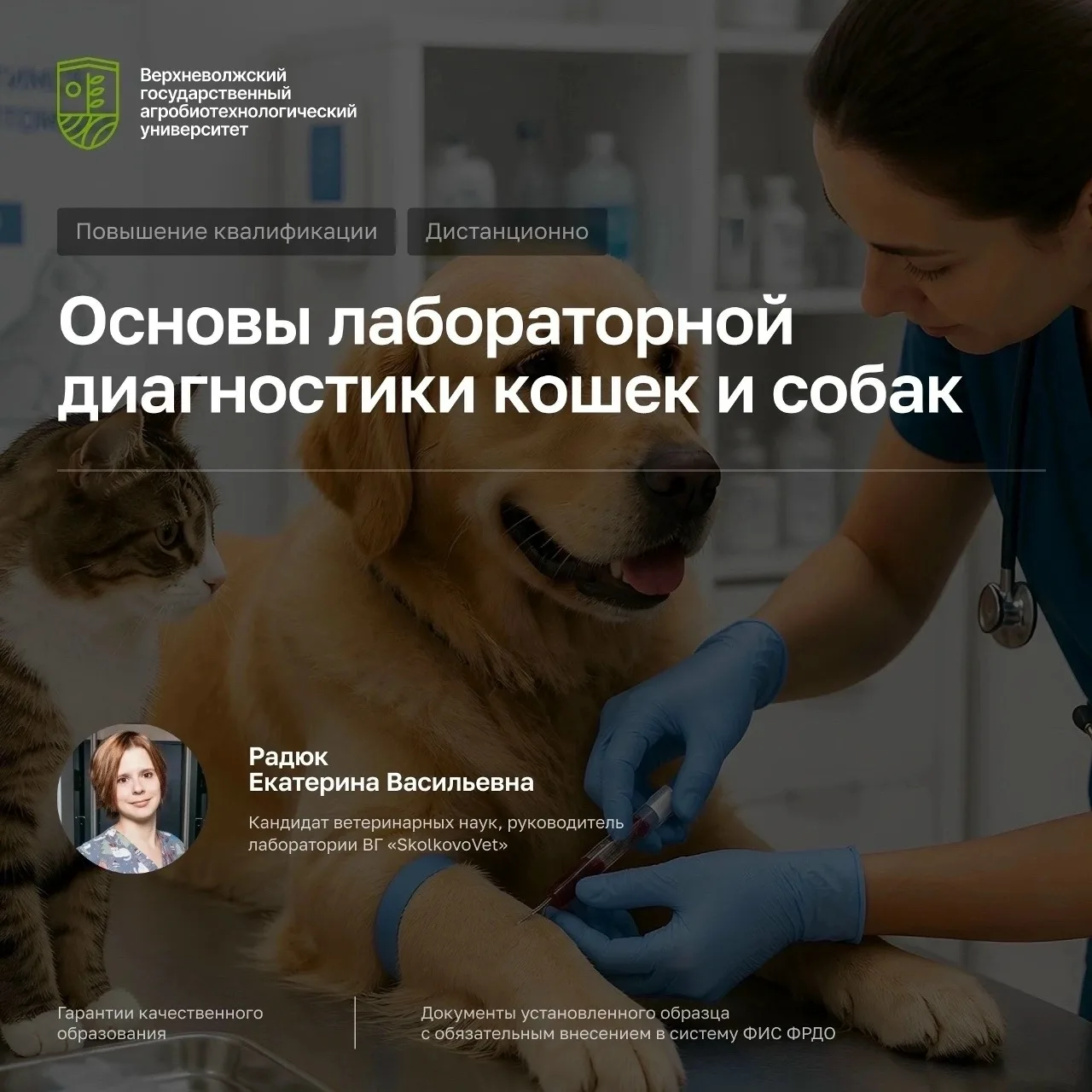 🐕🐈 ОСНОВЫ ЛАБОРАТОРНОЙ ДИАГНОСТИКИ КОШЕК И СОБАК.