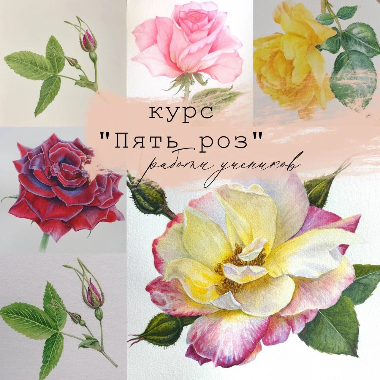 🤩 ТОП-5 сюжетов, которые ВЫДЕЛЯТ вас среди художников-ботанистов