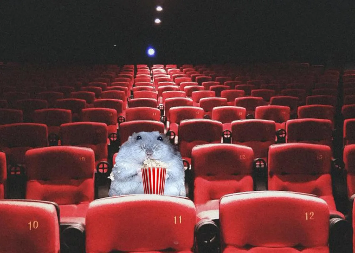 Небо, лето и кино 🎬🍿
