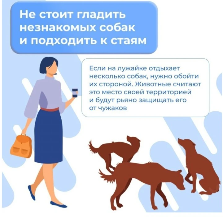 ⚠️ВСТРЕЧА С БРОДЯЧЕЙ СОБАКОЙ⚠️  ⏩️Собака - друг человека.  Но важно научить детей правилам, чтобы вс