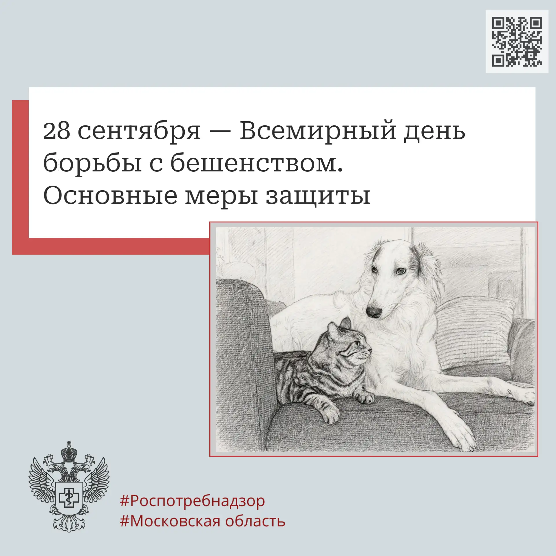 28 сентября — Всемирный день борьбы с бешенством. Основные меры защиты