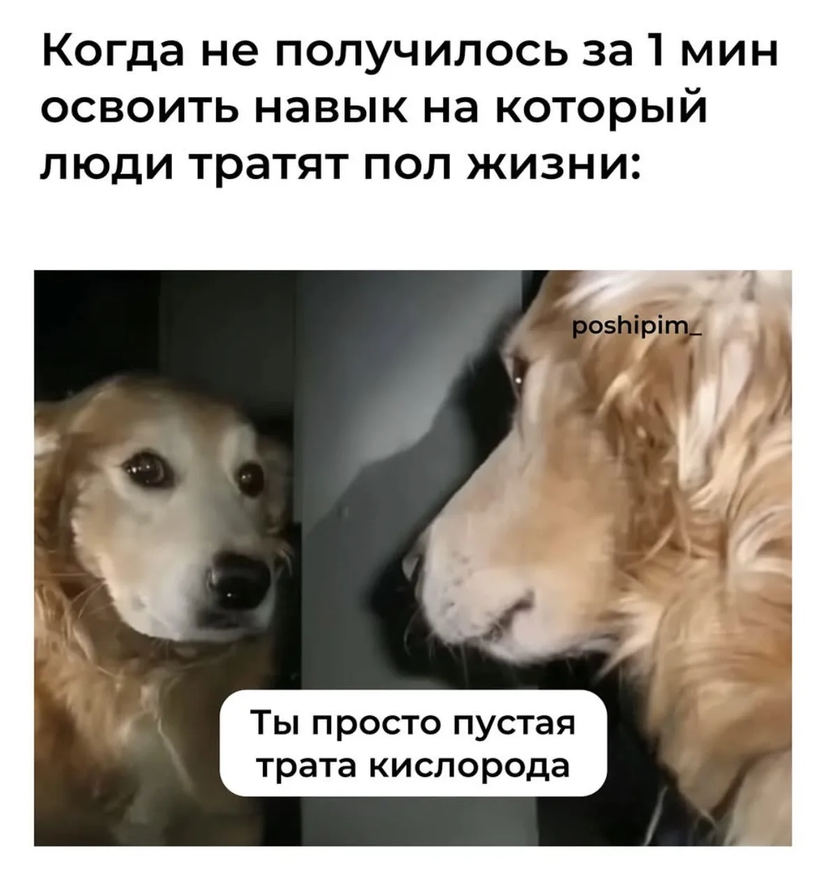Изображение 1 к публикации «МЕМАЧ»