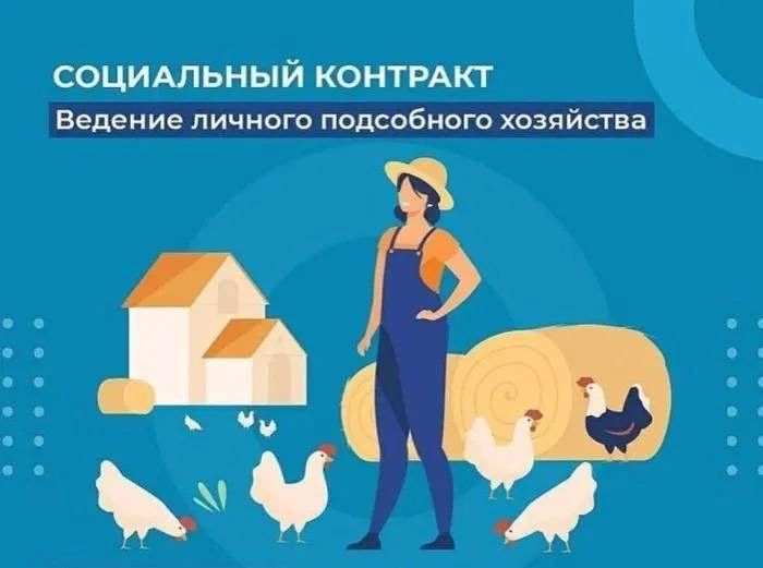 Социальный контракт на ведение личного подсобного хозяйстваназначается для приобретения...