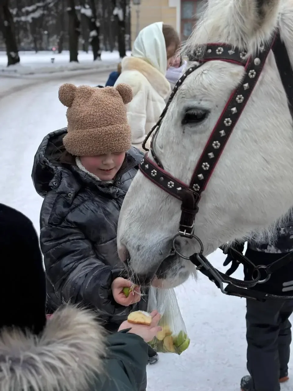 17 февраля учащиеся 2-2 класса отправились на увлекательный квест по Павловскому парку с загадками, 