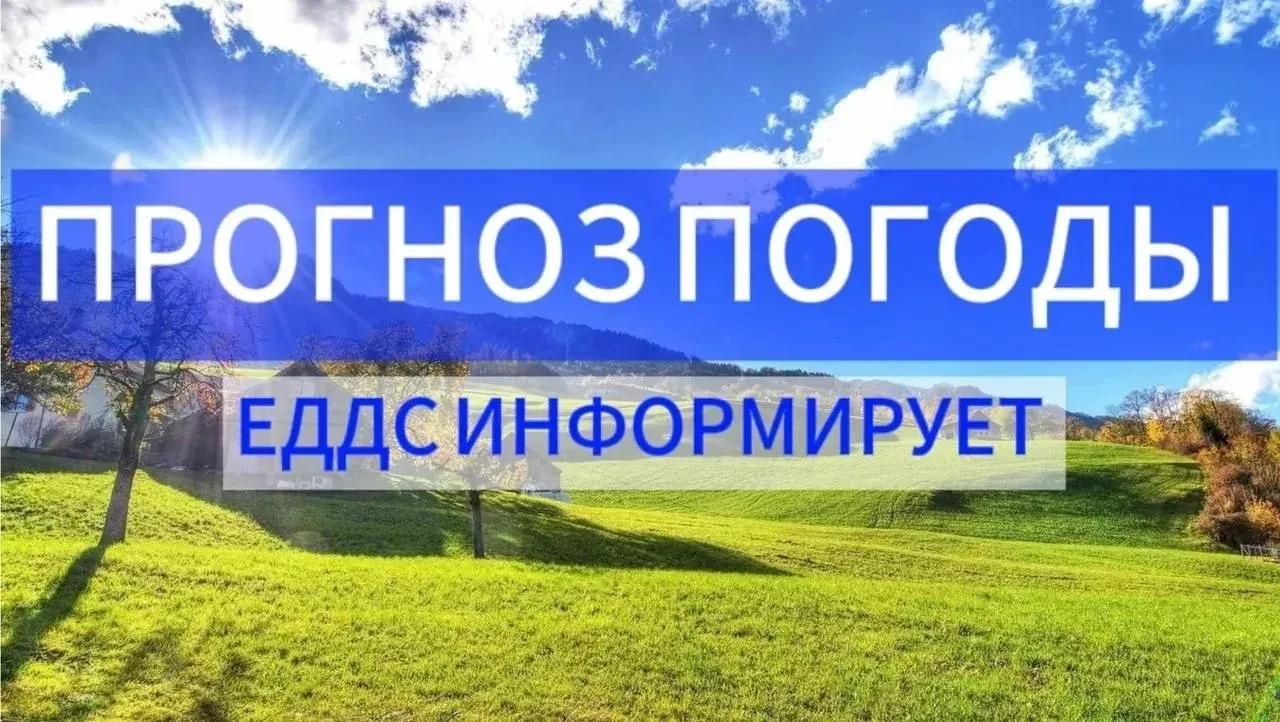 Прогноз возникновения чрезвычайных ситуаций (далее - ЧС)