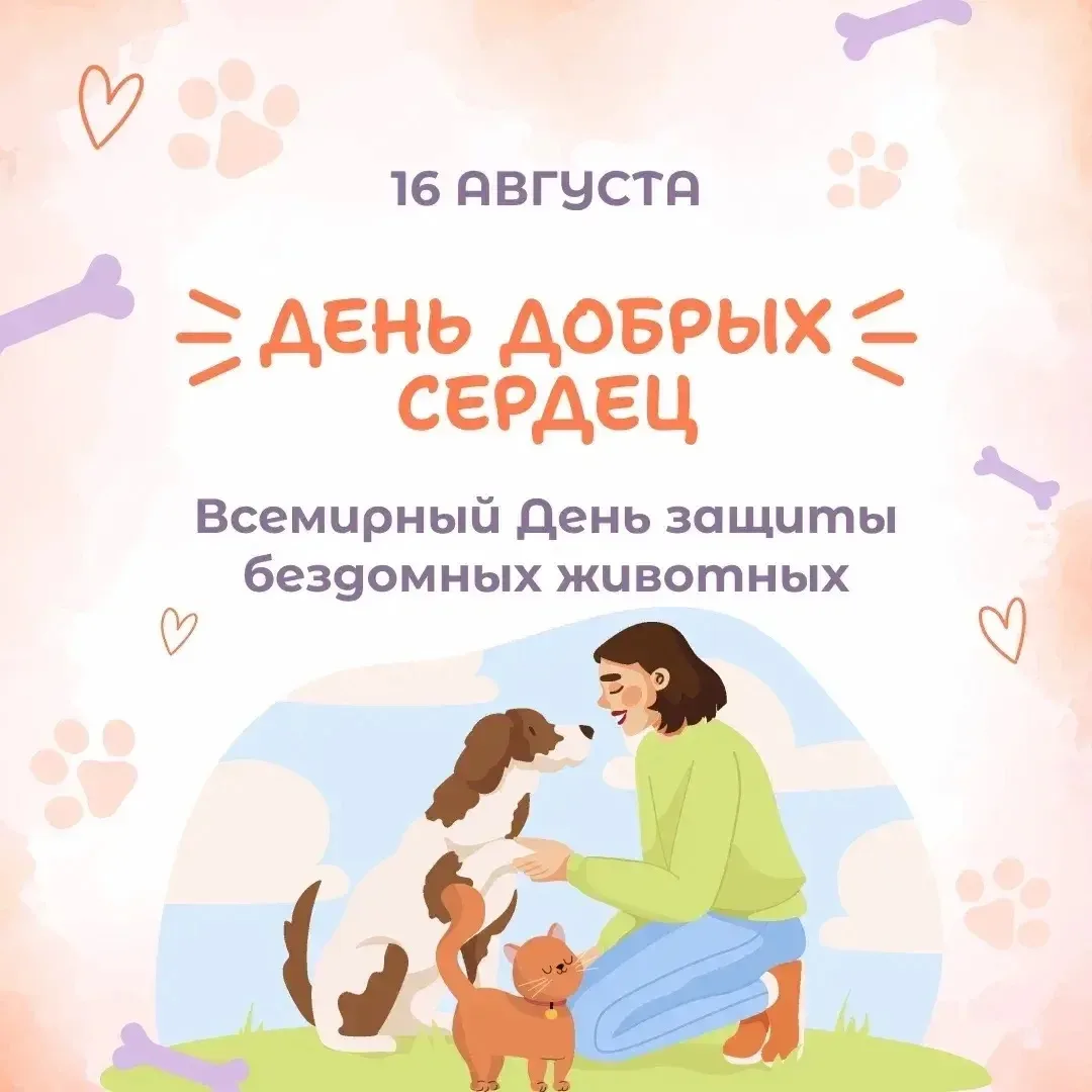 🐾 Всемирный день бездомных животных