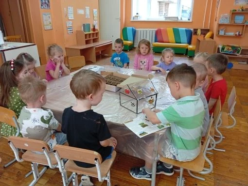 У наших дорогих "Звёздочек" случилось настоящее чудо – они получили потрясающий набор "...