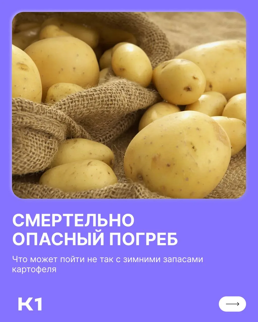 «Тихий убийца» в вашем погребе: почему запасы картофеля могут стоить жизни целой семье 🚨