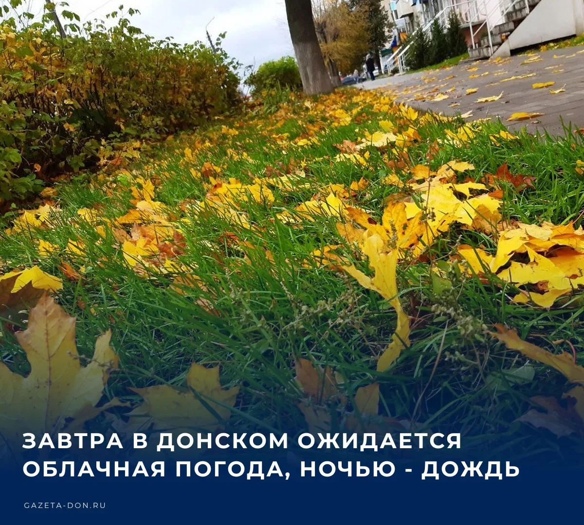 ☁️ В ночь на вторник в Донском прогнозируется облачная погода с дождем, вероятность оса...