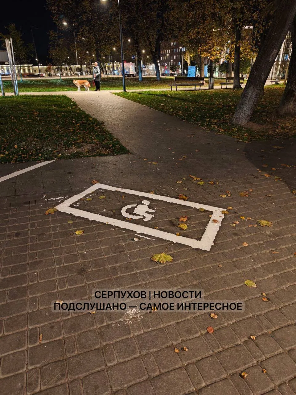 Парковка на площади Ленина вызвала вопрос читателя