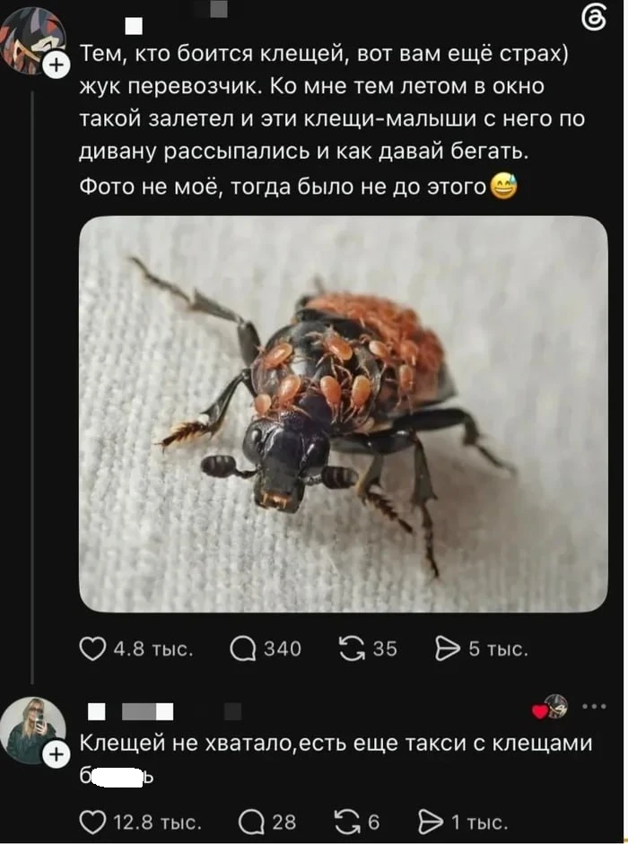 🕷Берегите себя