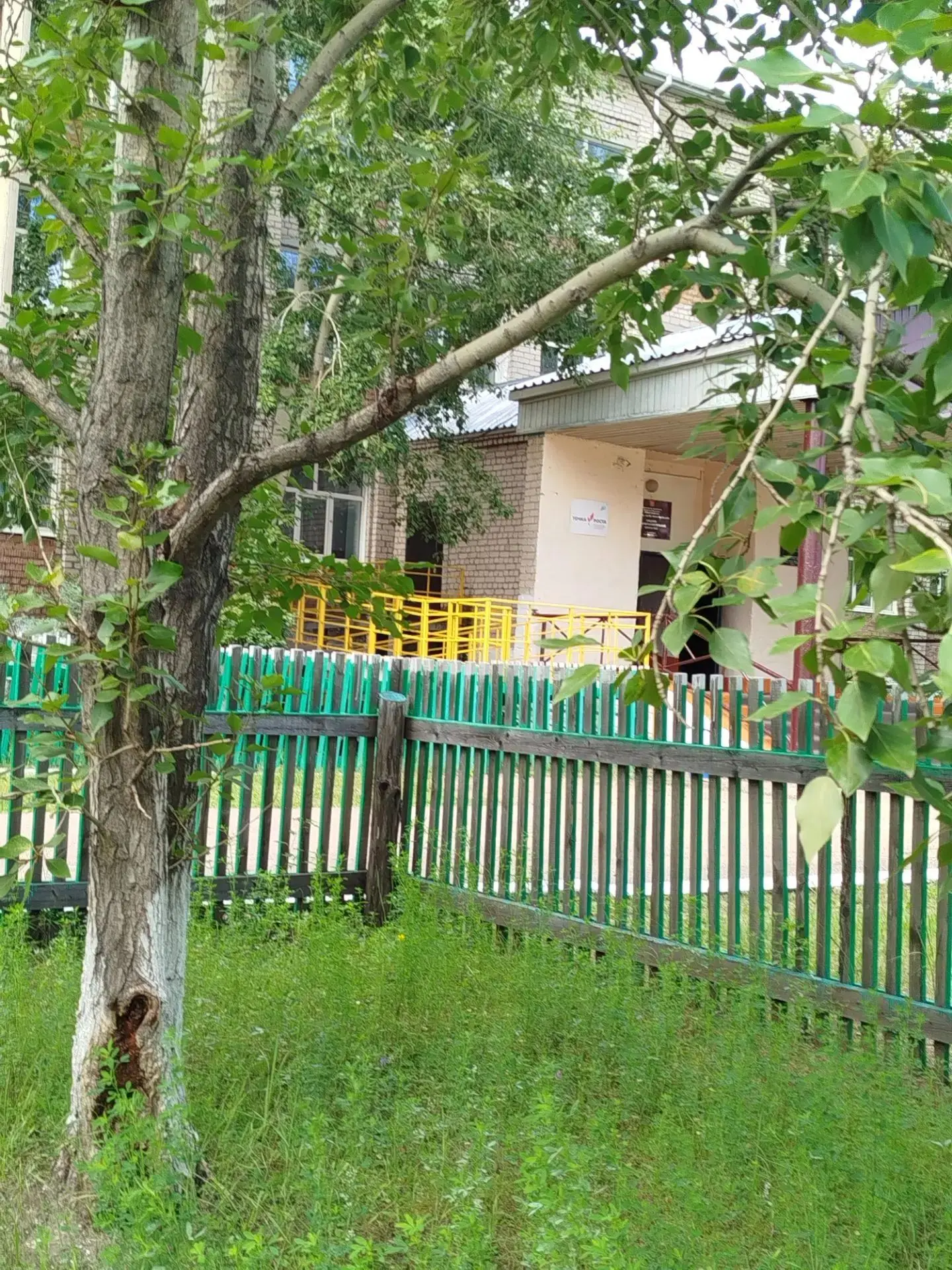 Друзья, сегодня я увидела настоящее чудо прямо в нашем школьном дворе! 🍂