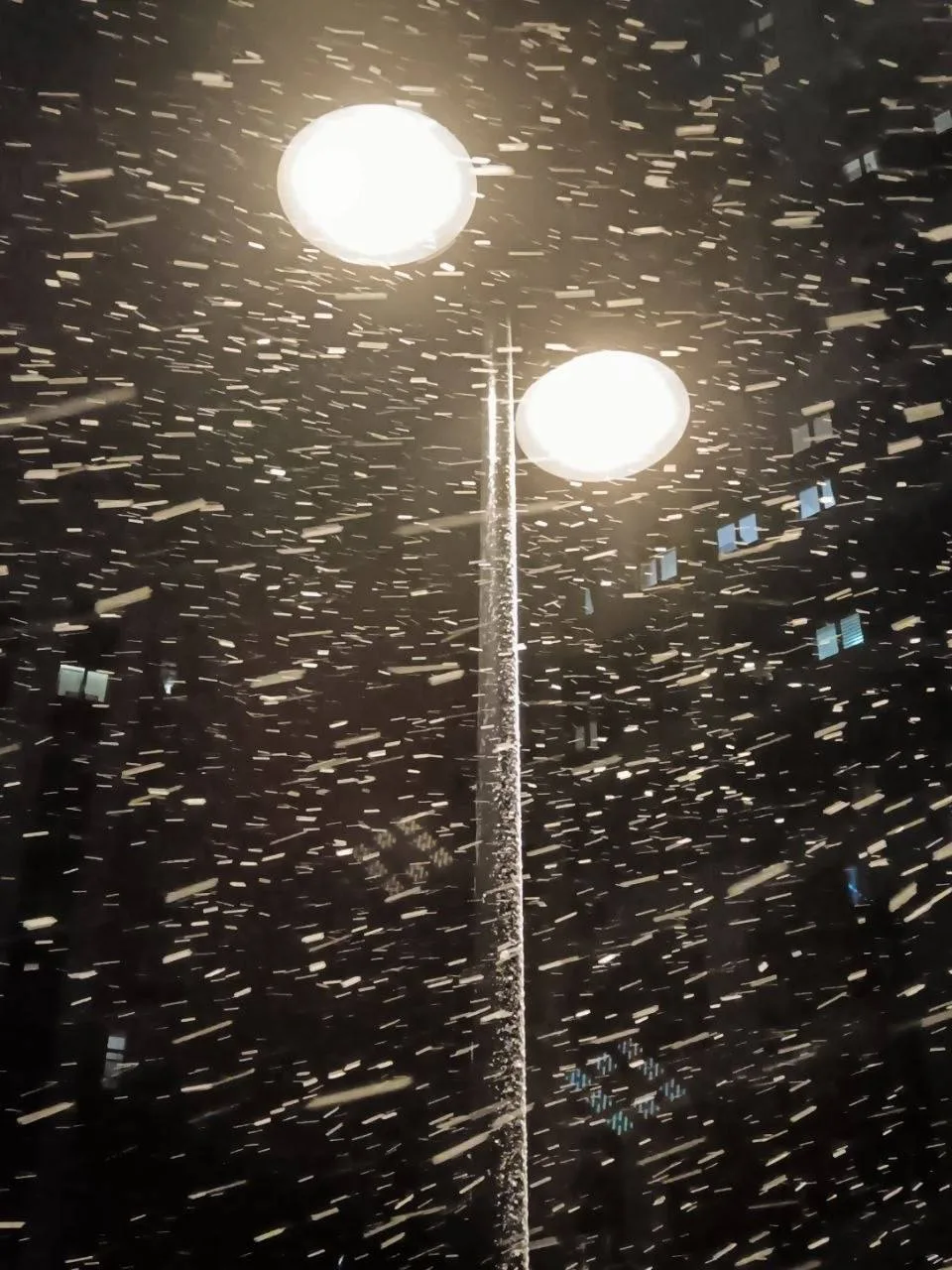 ❄️ Настоящий снегопад прошел в Свердловской области