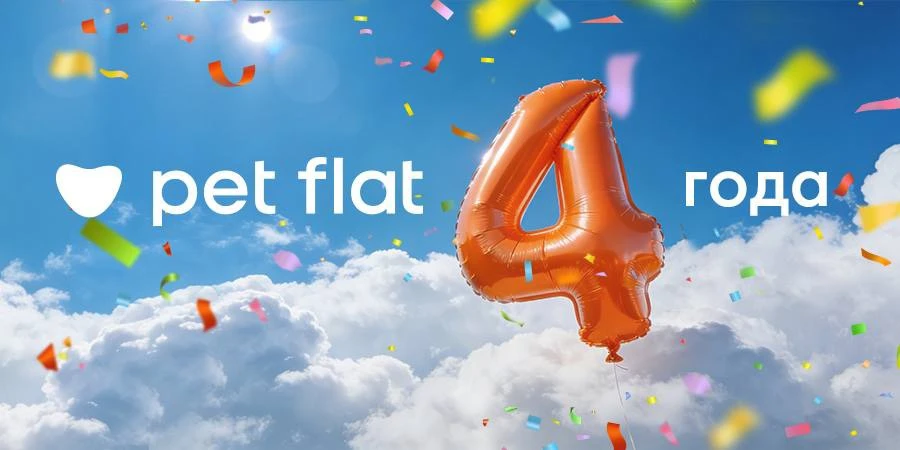 Pet Flat 4 года!!!