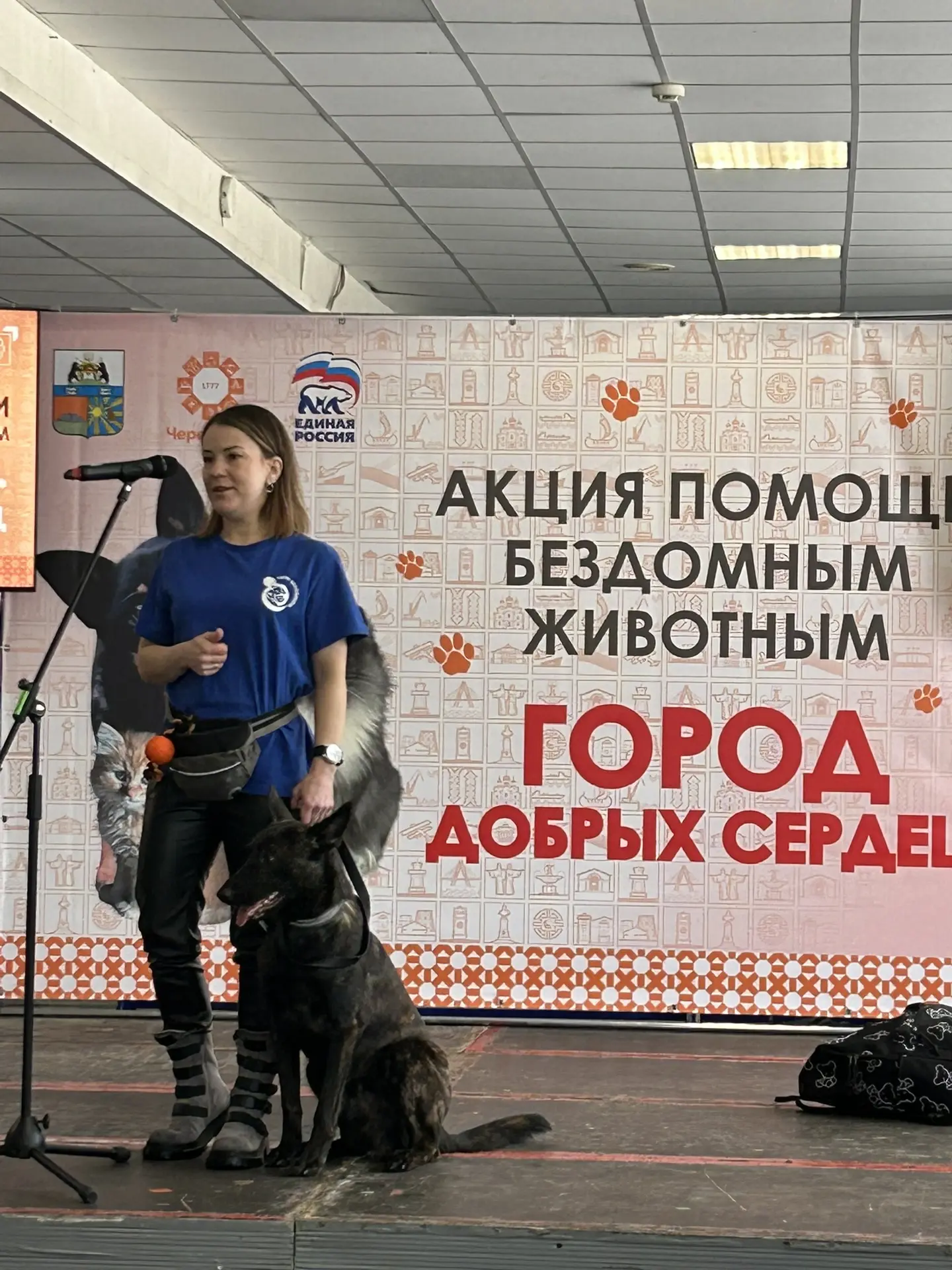 🌸 Первый день весны и День кошек объединила акция помощи бездомным животным "Город добрых сердец"!**