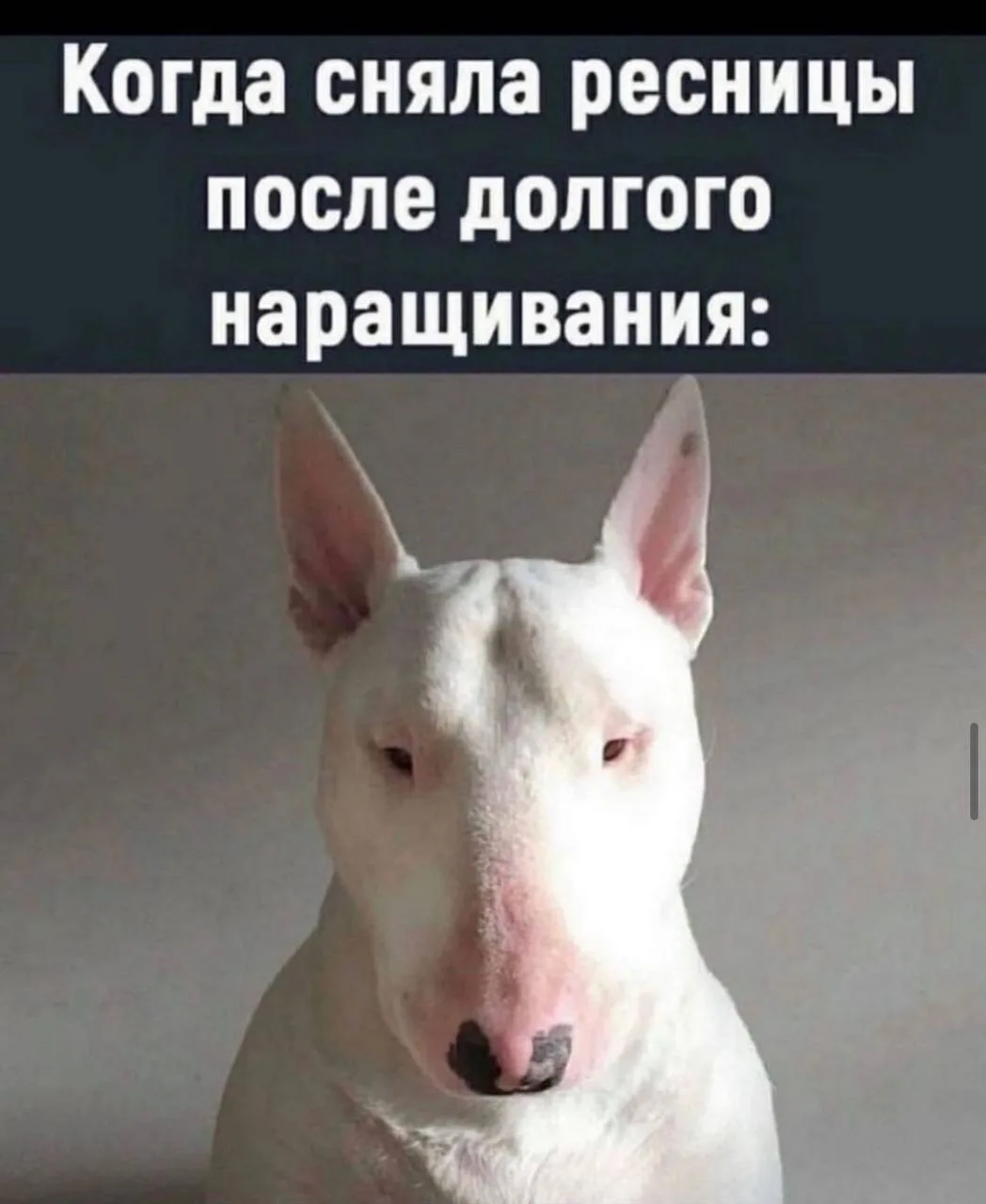 Минутка юмора на злобу дня😀