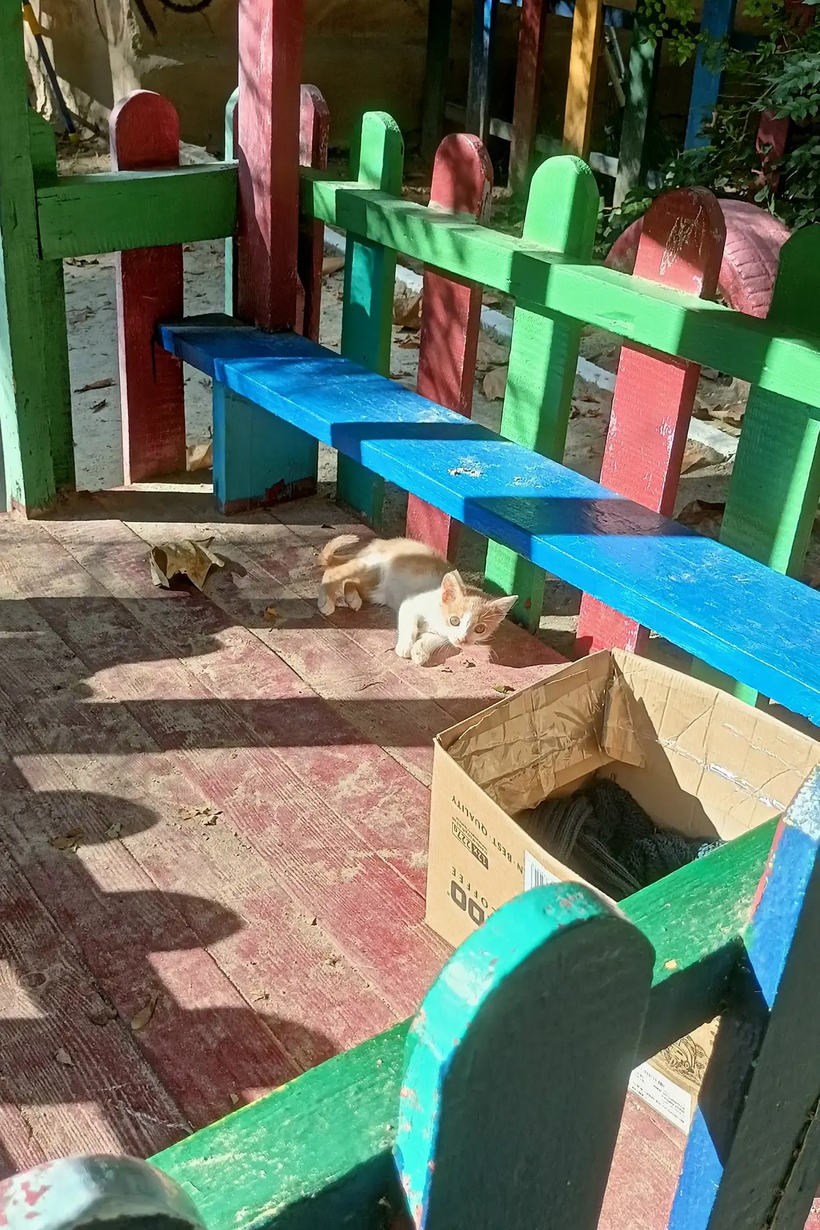 Живёт в детском саду вот такое чудо 😻, мальчишка с характером 🤗, всё ест. Может найду...