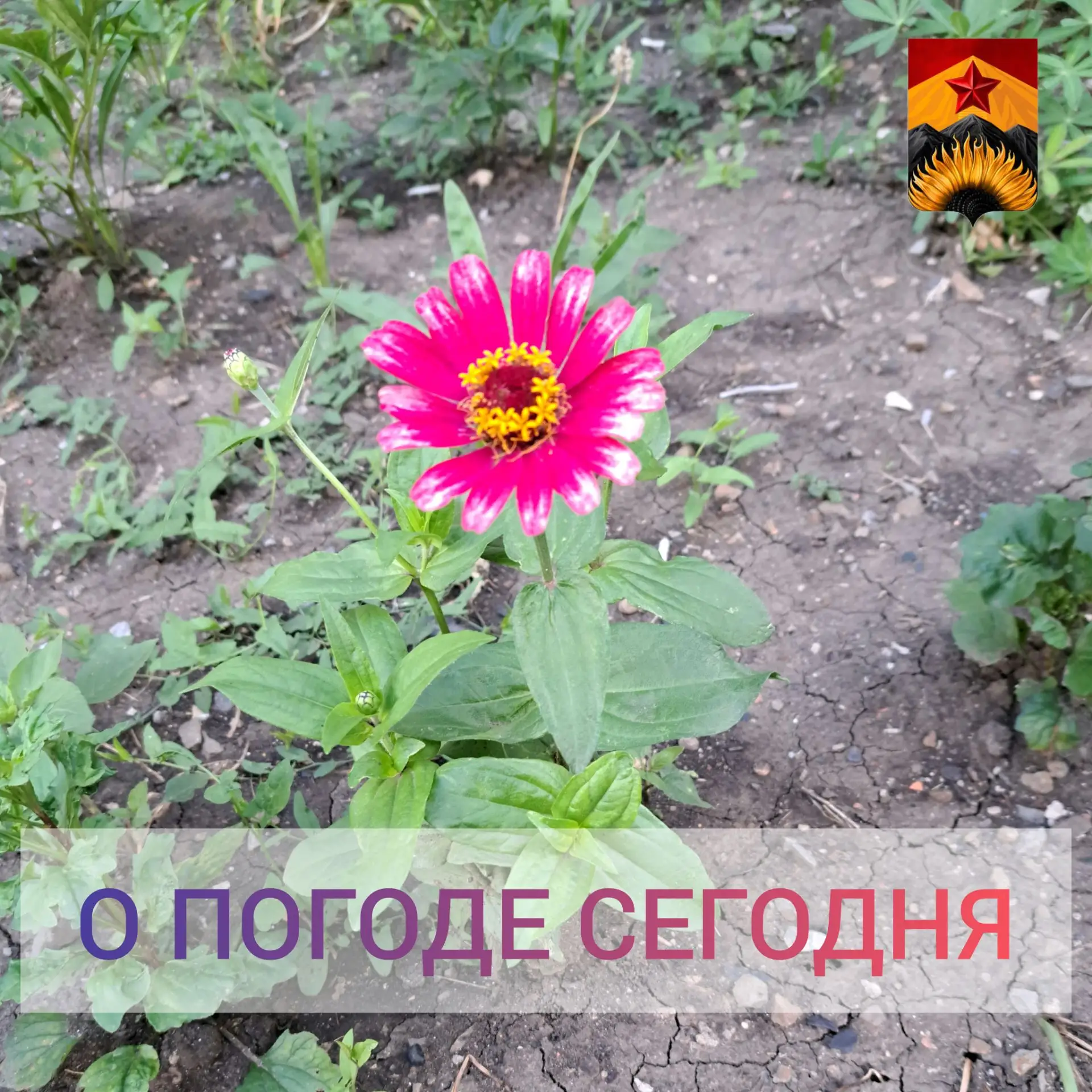 Гидрометцентр сообщил о погоде в Шахтерском округе

📆 30 июля в Республике 
переменная облачность, 