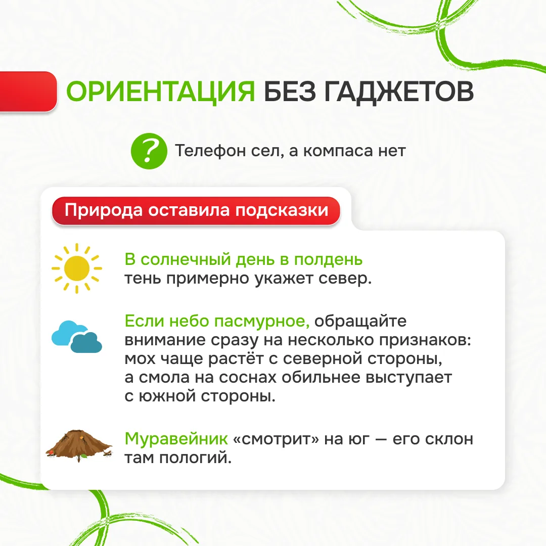 Памятка «Лес без происшествий»: Ваш гид по безопасному отдыху на природе Лес – это удивительное мест