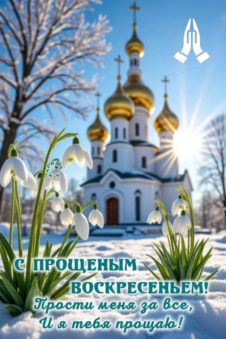 Дорогие женщины!