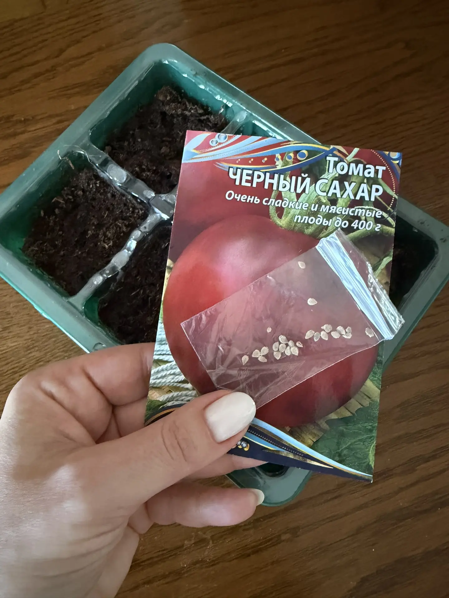 Наступило магическое время! 💫 Когда аккуратно с придыханием выкладываешь ровненькие отборные семена 