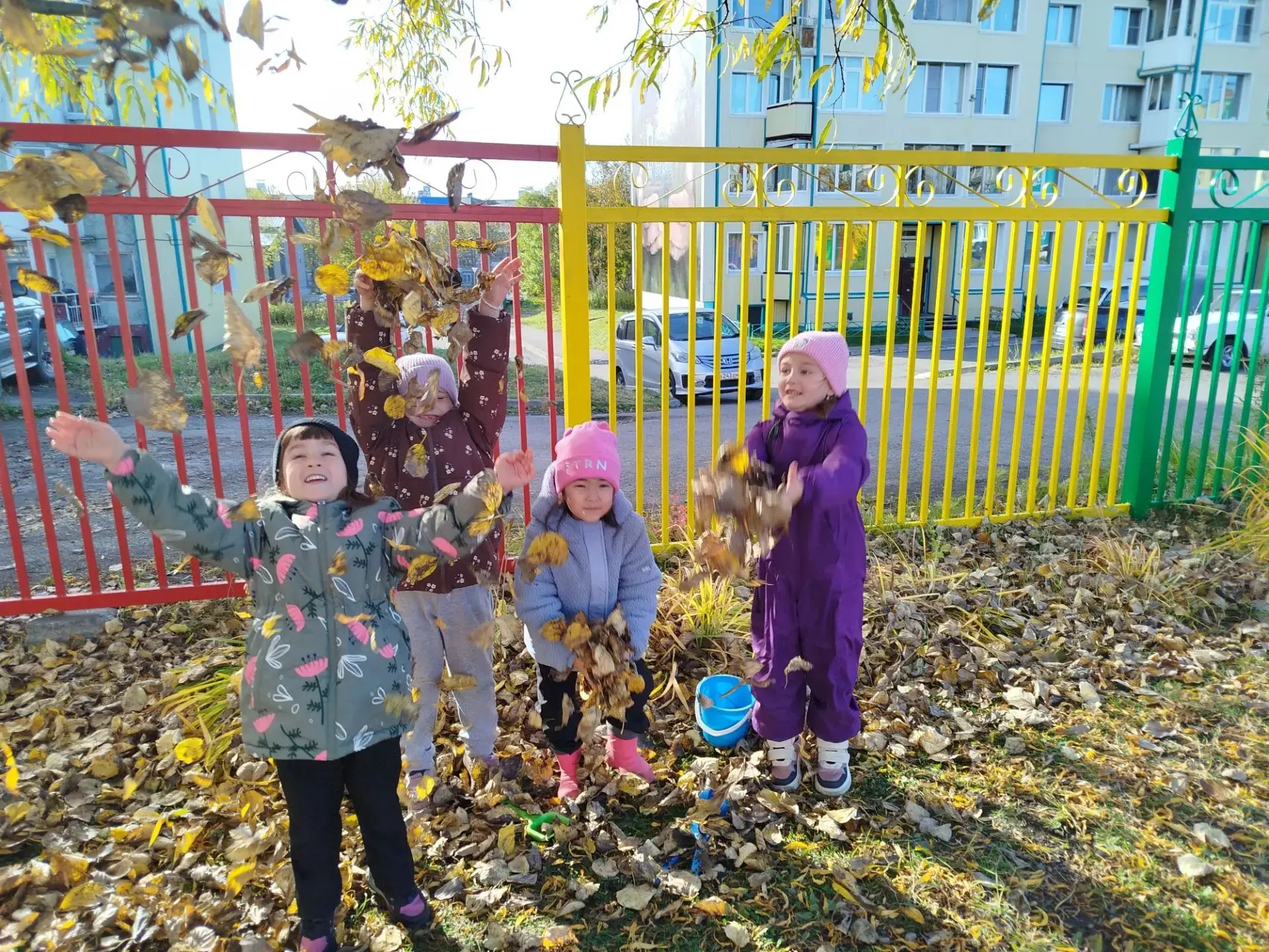 🍁🍂 Золотая осень радует нас своими красками! 🍁🍂